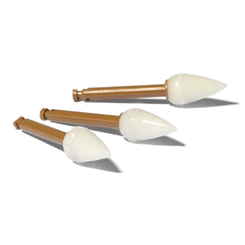 Enhance polishing points (Teardrop shape), Dentsply, USA