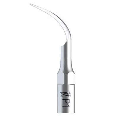 Skyler periodontological attachment to Woodpecker, EMS Ultrasonic Cleaning Attachment